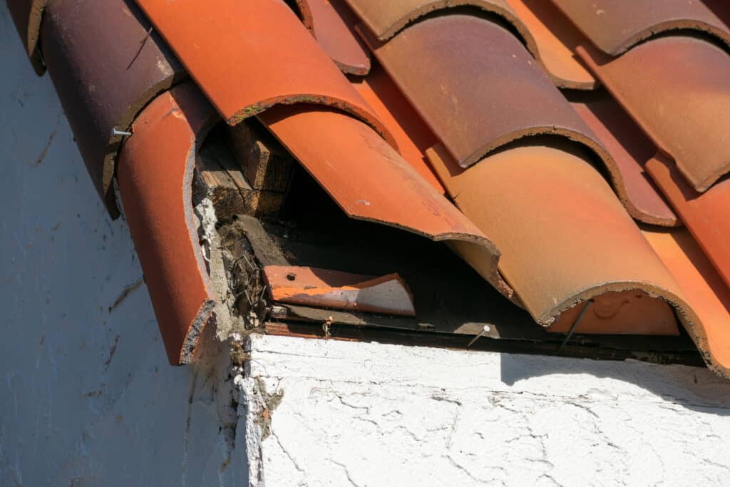 Urgence Fuite Toiture